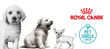 Royal Canin and Pet Circle